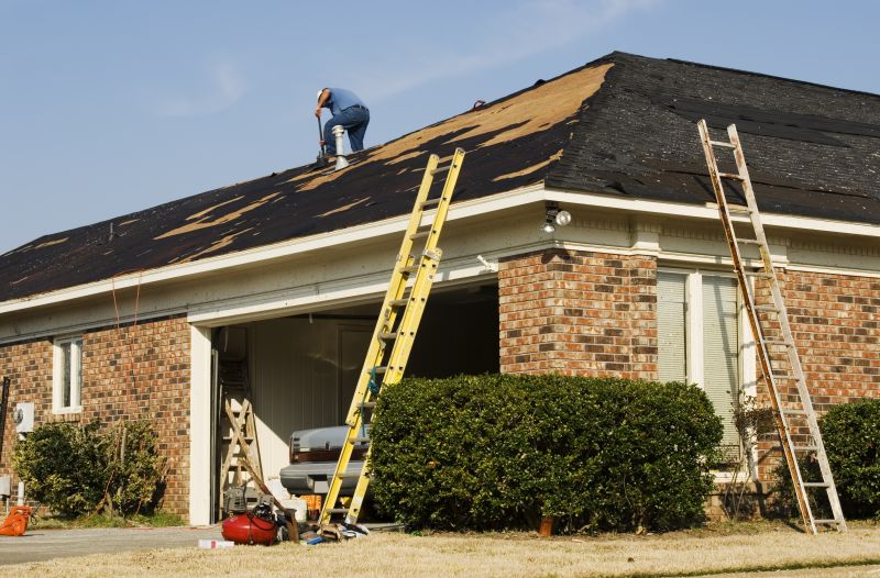 Professional Roof Restoration