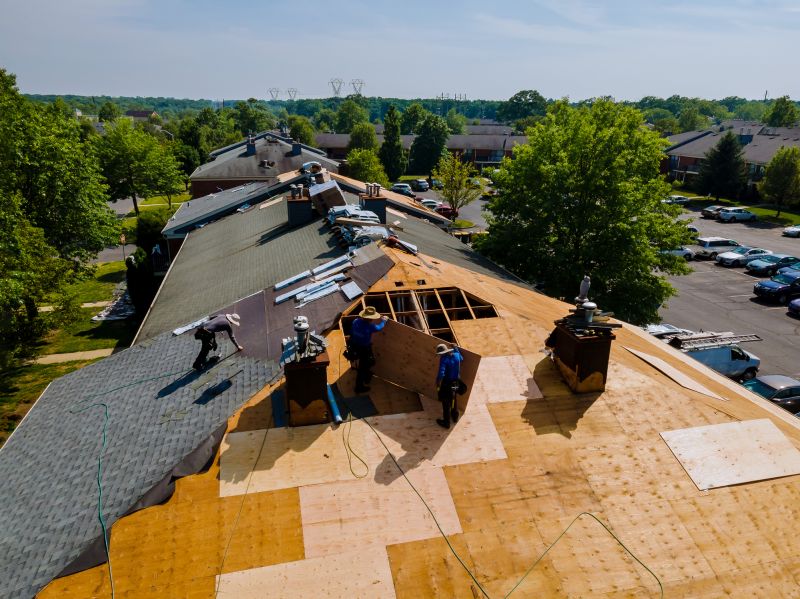 Roofing Professionals at Work